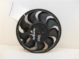 BoxterFan.png